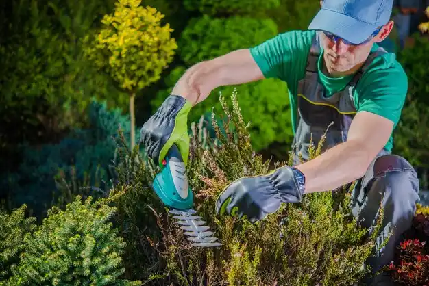 landscaping services Barbourville